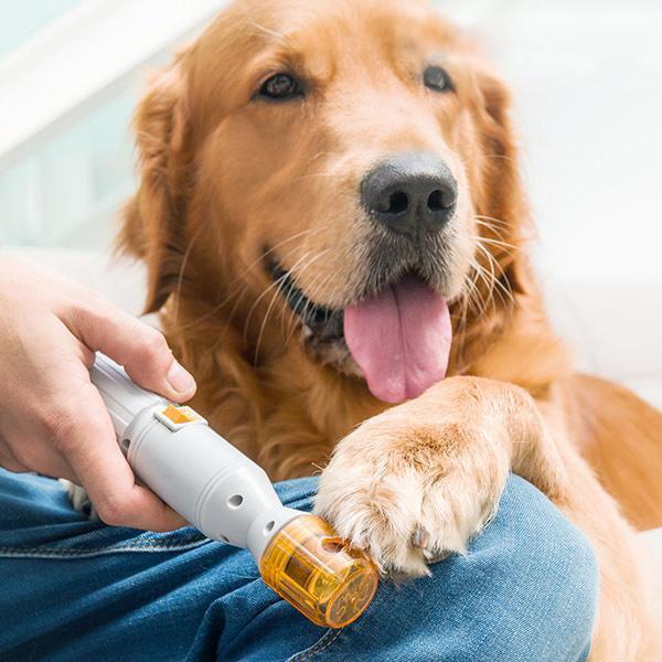 Premium Painless Nail Clipper for Pets - All Size Dogs &amp; Cats