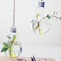 Modern Light Bulb Planter