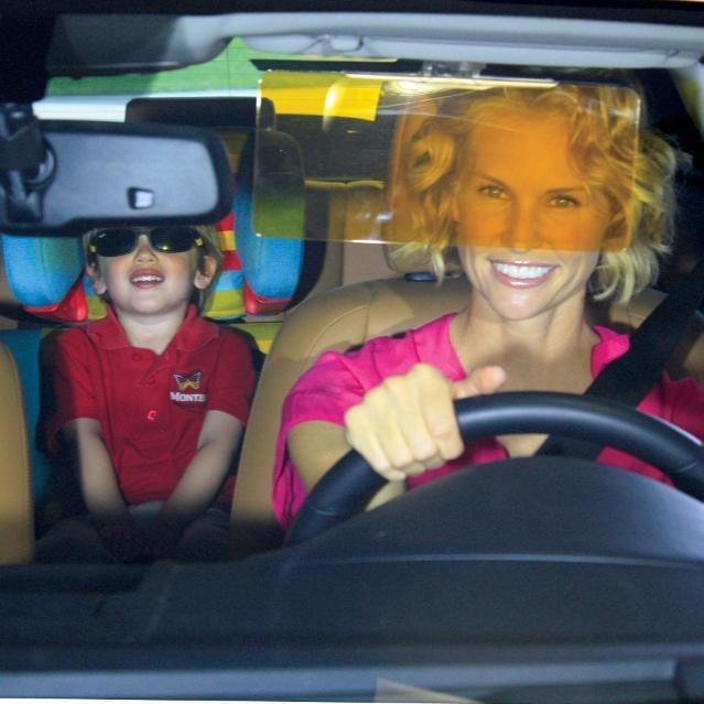 See Through Sun &amp; Night Visor