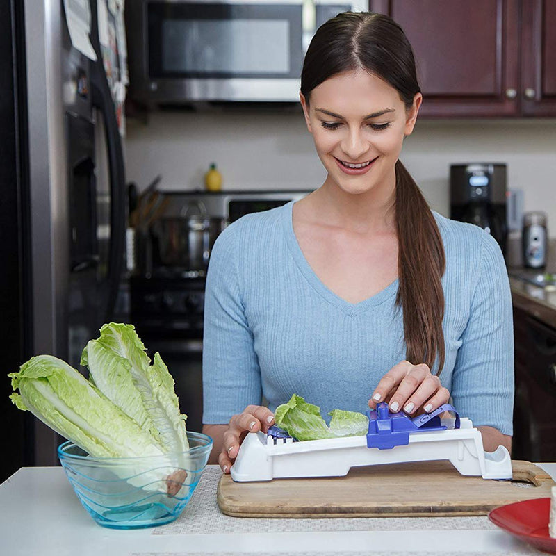 Vegetable &amp; Meat Roller